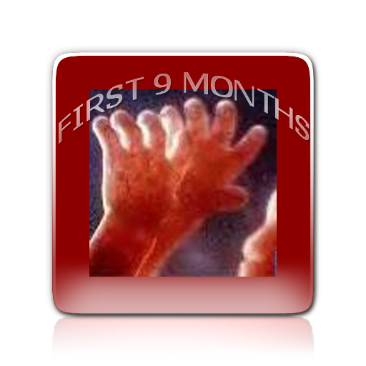 First 9 Months App Icon